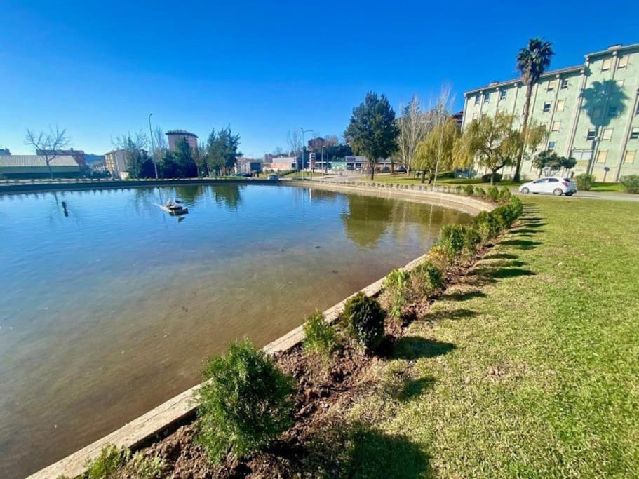 Apartamento Renovado No Centro Da Cidade - Casa4 Coimbra Eksteriør billede